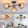 Ripoll ceiling light, globe light Amber, clear, Smoke-coloured, 3-light sources