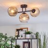 Ripoll ceiling light, globe light Amber, clear, Smoke-coloured, 3-light sources