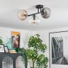 Koyoto ceiling light, globe light Amber, clear, Smoke-coloured, 3-light sources