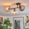 Koyoto ceiling light, globe light Amber, clear, Smoke-coloured, 3-light sources
