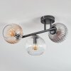 Koyoto ceiling light, globe light Amber, clear, Smoke-coloured, 3-light sources
