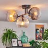 Koyoto ceiling light, globe light Amber, clear, Smoke-coloured, 3-light sources
