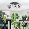 Koyoto ceiling light, globe light Amber, clear, Smoke-coloured, 4-light sources