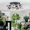 Koyoto ceiling light, globe light clear, Smoke-coloured, 4-light sources