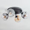 Ripoll ceiling light, globe light Amber, clear, Smoke-coloured, 4-light sources