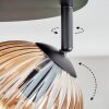 Koyoto ceiling light, globe light Amber, clear, 4-light sources