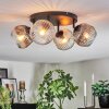 Ripoll ceiling light, globe light Amber, clear, Smoke-coloured, 4-light sources