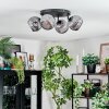 Ripoll ceiling light, globe light Smoke-coloured, 4-light sources