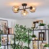 Ripoll ceiling light, globe light Amber, clear, 3-light sources