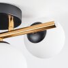 Chehalis ceiling light, globe light gold, black, 3-light sources