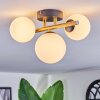 Chehalis ceiling light, globe light gold, black, 3-light sources