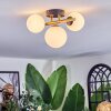 Chehalis ceiling light, globe light gold, black, 3-light sources