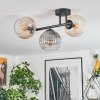 Koyoto ceiling light, globe light Amber, clear, Smoke-coloured, 3-light sources