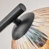 Koyoto ceiling light, globe light Amber, clear, Smoke-coloured, 3-light sources