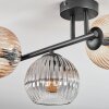 Koyoto ceiling light, globe light Amber, clear, Smoke-coloured, 3-light sources