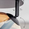 Koyoto ceiling light, globe light Amber, chrome, Smoke-coloured, 4-light sources