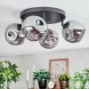 Ripoll ceiling light, globe light Smoke-coloured, 4-light sources