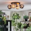Ripoll ceiling light, globe light Amber, Smoke-coloured, 4-light sources