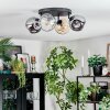 Ripoll ceiling light, globe light Amber, clear, Smoke-coloured, 4-light sources