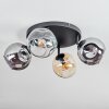 Ripoll ceiling light, globe light Amber, clear, Smoke-coloured, 4-light sources