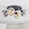 Ripoll ceiling light, globe light Amber, clear, Smoke-coloured, 4-light sources
