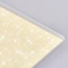 Tavlov ceiling light, Panel LED white, 1-light source