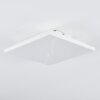 Tavlov ceiling light, Panel LED white, 1-light source