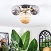 Chehalis ceiling light, globe light gold, black, 3-light sources