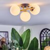 Chehalis ceiling light, globe light gold, black, 3-light sources