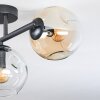 Ripoll ceiling light, globe light Amber, clear, Smoke-coloured, 3-light sources