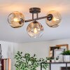 Ripoll ceiling light, globe light Amber, clear, Smoke-coloured, 3-light sources