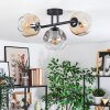 Ripoll ceiling light, globe light Amber, clear, Smoke-coloured, 3-light sources