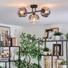 Ripoll ceiling light, globe light clear, Smoke-coloured, 3-light sources