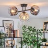Ripoll ceiling light, globe light Amber, clear, Smoke-coloured, 3-light sources