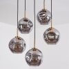 Ripoll hanging light, globe light, pendant light gold, black, 5-light sources