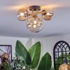 Chehalis ceiling light, globe light gold, black, 3-light sources