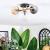 Chehalis ceiling light, globe light gold, black, 3-light sources