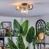 Chehalis ceiling light, globe light gold, black, 3-light sources