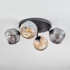 Ripoll ceiling light, globe light Amber, Smoke-coloured, 4-light sources