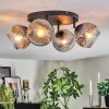 Ripoll ceiling light, globe light clear, Smoke-coloured, 4-light sources