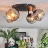 Ripoll ceiling light, globe light clear, Smoke-coloured, 4-light sources