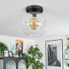 Ripoll ceiling light, globe light clear, 1-light source
