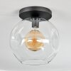 Ripoll ceiling light, globe light clear, 1-light source