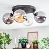 Gastor ceiling light, globe light Amber, clear, Smoke-coloured, 4-light sources