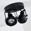 JONSERED Ceiling Light black, 2-light sources