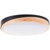 Brilliant lights Baarlo ceiling light LED black, 1-light source