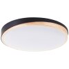 Brilliant lights Baarlo ceiling light LED black, 1-light source, Remote control