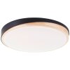 Brilliant lights Baarlo ceiling light LED black, 1-light source, Remote control