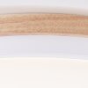 Brilliant lights Baarlo ceiling light LED white, 1-light source