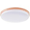 Brilliant lights Baarlo ceiling light LED white, 1-light source